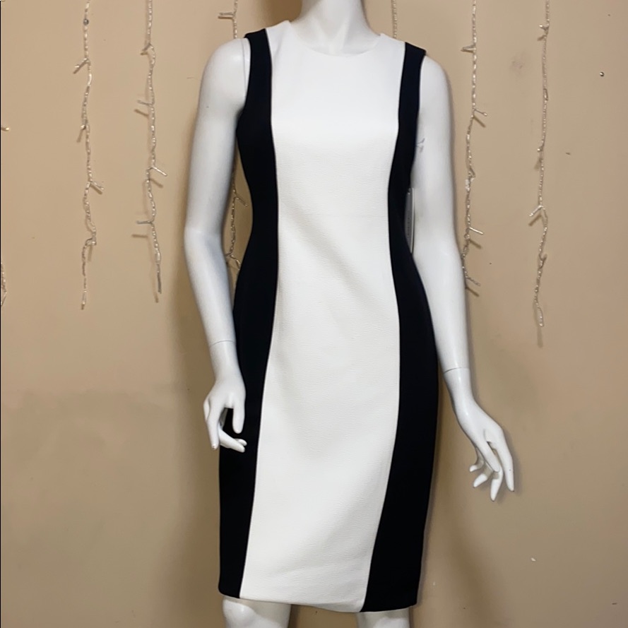 Calvin Klein Women's Sleeveless Sheath Dress 4